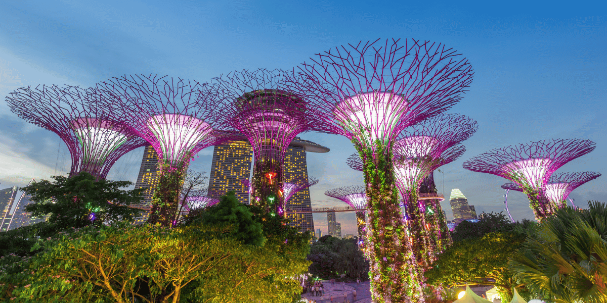 Why visit Singapore from Nepal